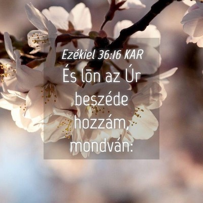 Picture 04 - Ezékiel 36:16 KAR - És lõn az Úr beszéde hozzám, - Bible Verse Picture