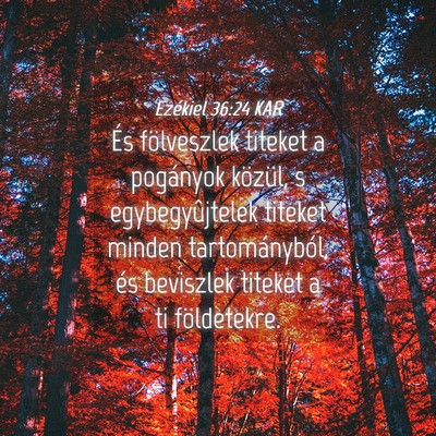 Picture 04 - Ezékiel 36:24 KAR - És fölveszlek titeket a pogányok közül, s - Bible Verse Picture
