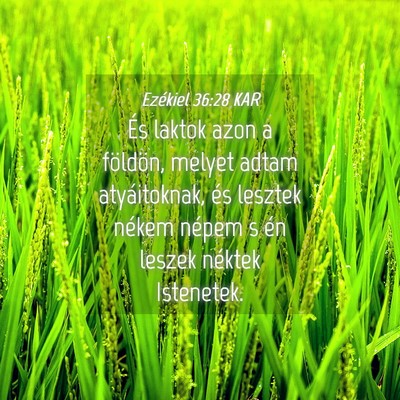 Picture 04 - Ezékiel 36:28 KAR - És laktok azon a földön, melyet adtam - Bible Verse Picture