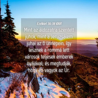 Picture 04 - Ezékiel 36:38 KAR - Mint az áldozatra szentelt juhok, mint a - Bible Verse Picture