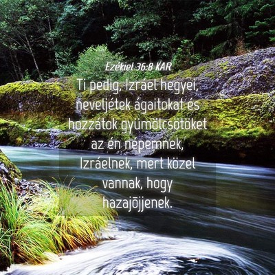 Picture 04 - Ezékiel 36:8 KAR - Ti pedig, Izráel hegyei, neveljétek ágaitokat - Bible Verse Picture