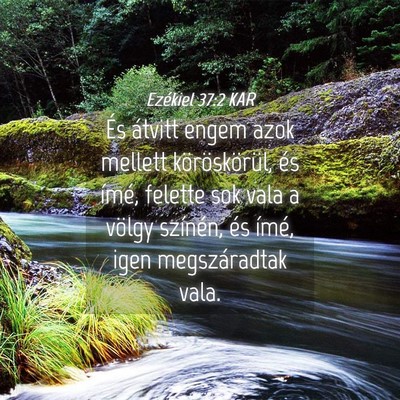 Picture 04 - Ezékiel 37:2 KAR - És átvitt engem azok mellett köröskörül, - Bible Verse Picture
