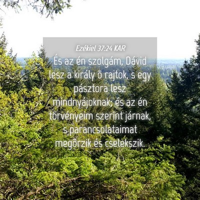 Picture 04 - Ezékiel 37:24 KAR - És az én szolgám, Dávid lesz a király õ - Bible Verse Picture