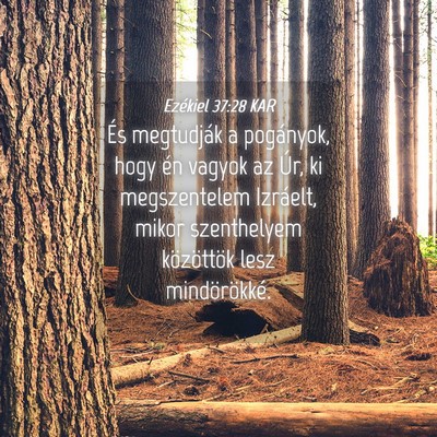 Picture 04 - Ezékiel 37:28 KAR - És megtudják a pogányok, hogy én vagyok az - Bible Verse Picture