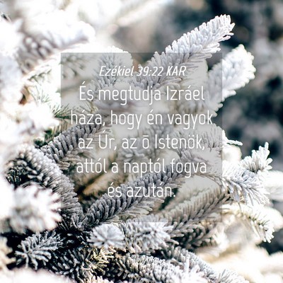 Picture 04 - Ezékiel 39:22 KAR - És megtudja Izráel háza, hogy én vagyok az - Bible Verse Picture