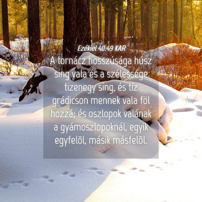 Picture 04 - Ezékiel 40:49 KAR - A tornácz hosszúsága húsz sing vala és a - Bible Verse Picture