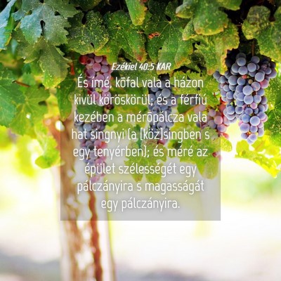 Picture 04 - Ezékiel 40:5 KAR - És ímé, kõfal vala a házon kivül - Bible Verse Picture