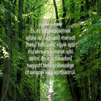 Picture 04 - Ezékiel 41:11 KAR - És az oldalépületnek ajtaja az [üresen] - Bible Verse Picture
