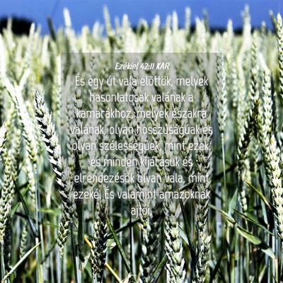 Picture 04 - Ezékiel 42:11 KAR - És egy út vala elõttök, melyek hasonlatosak - Bible Verse Picture