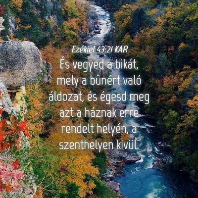 Picture 04 - Ezékiel 43:21 KAR - És vegyed a bikát, mely a bûnért való - Bible Verse Picture