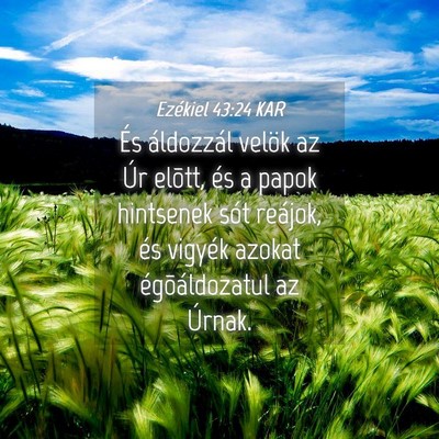 Picture 04 - Ezékiel 43:24 KAR - És áldozzál velök az Úr elõtt, és a papok - Bible Verse Picture