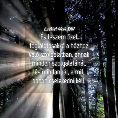 Picture 04 - Ezékiel 44:14 KAR - És teszem õket foglalatosakká a házhoz való - Bible Verse Picture