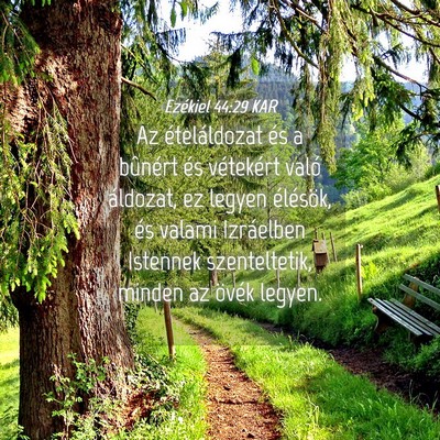 Picture 04 - Ezékiel 44:29 KAR - Az ételáldozat és a bûnért és vétekért - Bible Verse Picture