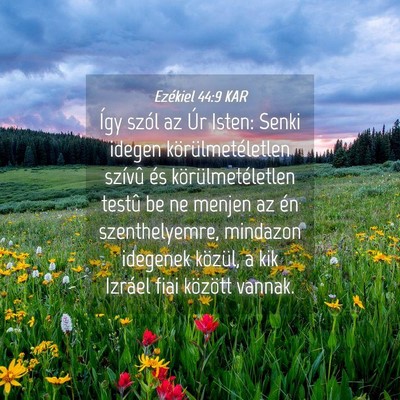 Picture 04 - Ezékiel 44:9 KAR - Így szól az Úr Isten: Senki idegen - Bible Verse Picture