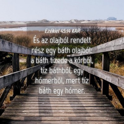 Picture 04 - Ezékiel 45:14 KAR - És az olajból rendelt rész egy báth olajból: - Bible Verse Picture