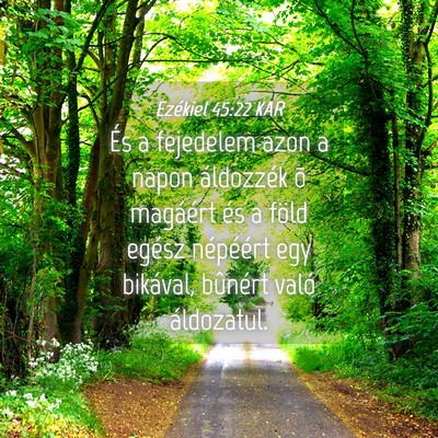 Picture 04 - Ezékiel 45:22 KAR - És a fejedelem azon a napon áldozzék õ - Bible Verse Picture