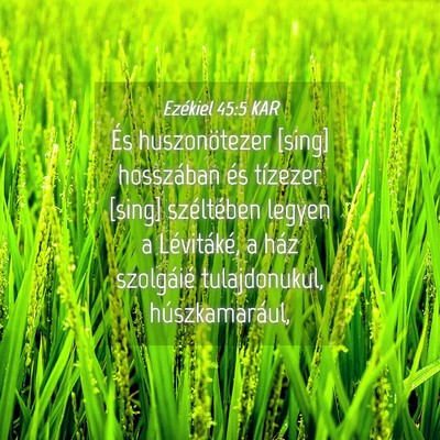 Picture 04 - Ezékiel 45:5 KAR - És huszonötezer [sing] hosszában és tízezer - Bible Verse Picture