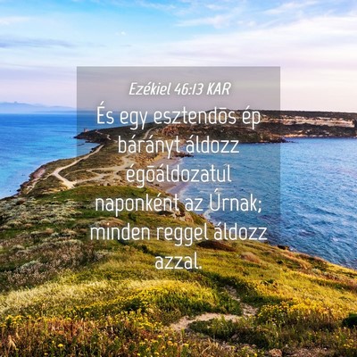 Picture 04 - Ezékiel 46:13 KAR - És egy esztendõs ép bárányt áldozz - Bible Verse Picture