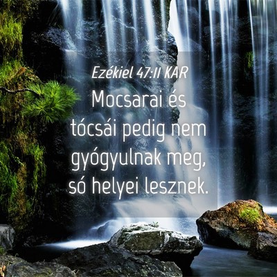 Picture 04 - Ezékiel 47:11 KAR - Mocsarai és tócsái pedig nem gyógyulnak meg, - Bible Verse Picture
