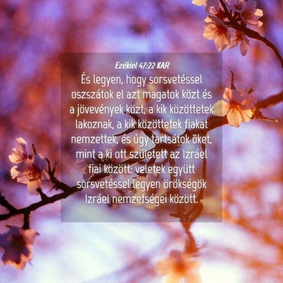 Picture 04 - Ezékiel 47:22 KAR - És legyen, hogy sorsvetéssel oszszátok el azt - Bible Verse Picture