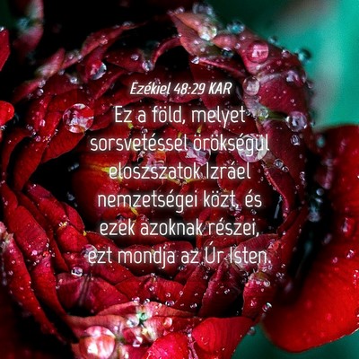 Picture 04 - Ezékiel 48:29 KAR - Ez a föld, melyet sorsvetéssel örökségül - Bible Verse Picture