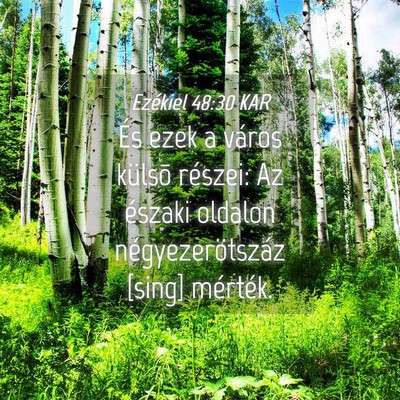 Picture 04 - Ezékiel 48:30 KAR - És ezek a város külsõ részei: Az északi - Bible Verse Picture
