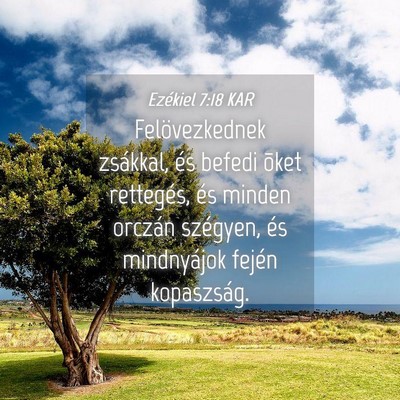 Picture 04 - Ezékiel 7:18 KAR - Felövezkednek zsákkal, és befedi õket - Bible Verse Picture