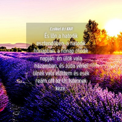 Picture 04 - Ezékiel 8:1 KAR - És lõn a hatodik esztendõben, a hatodik - Bible Verse Picture