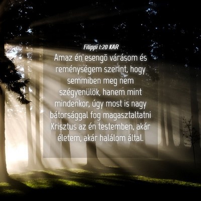 Picture 04 - Filippi 1:20 KAR - Amaz én esengõ várásom és reménységem - Bible Verse Picture
