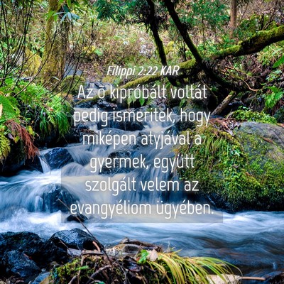 Picture 04 - Filippi 2:22 KAR - Az õ kipróbált voltát pedig ismeritek, hogy - Bible Verse Picture