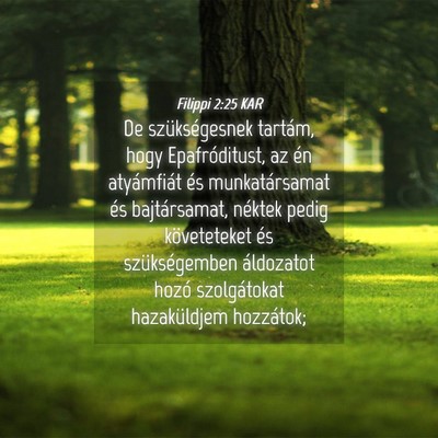 Picture 04 - Filippi 2:25 KAR - De szükségesnek tartám, hogy Epafróditust, az - Bible Verse Picture