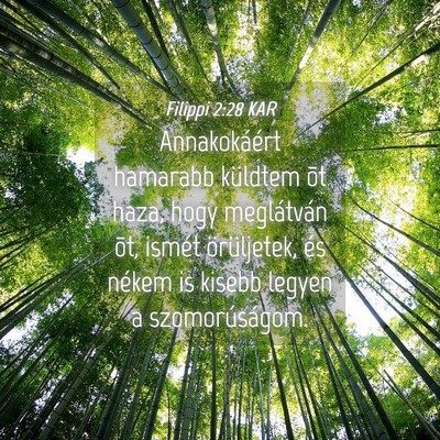 Picture 04 - Filippi 2:28 KAR - Annakokáért hamarabb küldtem õt haza, hogy - Bible Verse Picture