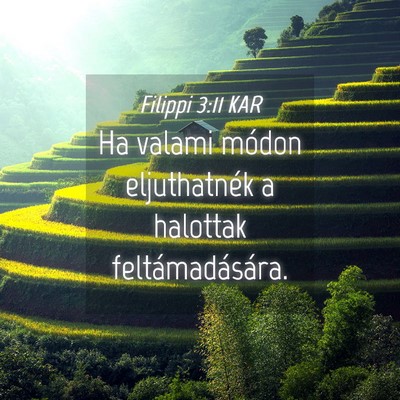 Picture 04 - Filippi 3:11 KAR - Ha valami módon eljuthatnék a halottak - Bible Verse Picture