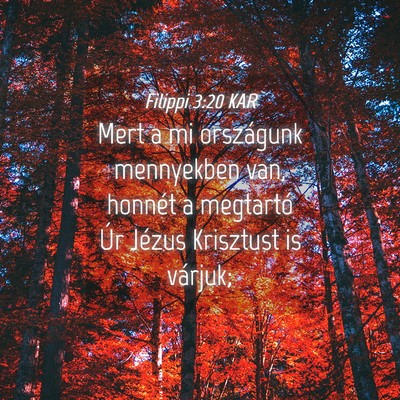Picture 04 - Filippi 3:20 KAR - Mert a mi országunk mennyekben van, honnét a - Bible Verse Picture