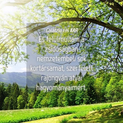 Picture 04 - Galátzia 1:14 KAR - És felülmultam a zsidóságban nemzetembeli sok - Bible Verse Picture