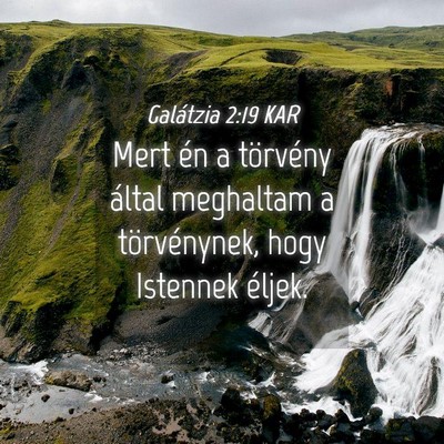 Picture 04 - Galátzia 2:19 KAR - Mert én a törvény által meghaltam a - Bible Verse Picture