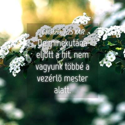 Picture 04 - Galátzia 3:25 KAR - De minekutána eljött a hit, nem vagyunk többé - Bible Verse Picture