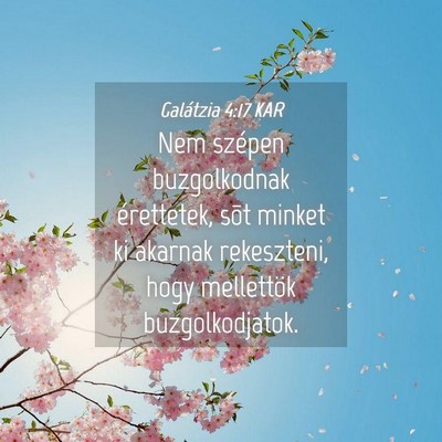 Picture 04 - Galátzia 4:17 KAR - Nem szépen buzgolkodnak érettetek, sõt minket - Bible Verse Picture