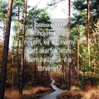 Picture 04 - Galátzia 4:21 KAR - Mondjátok meg nékem, kik a törvény alatt - Bible Verse Picture