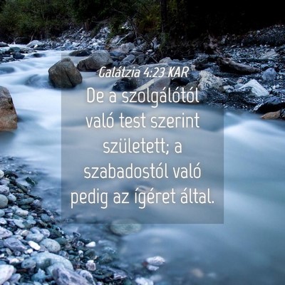 Picture 04 - Galátzia 4:23 KAR - De a szolgálótól való test szerint - Bible Verse Picture