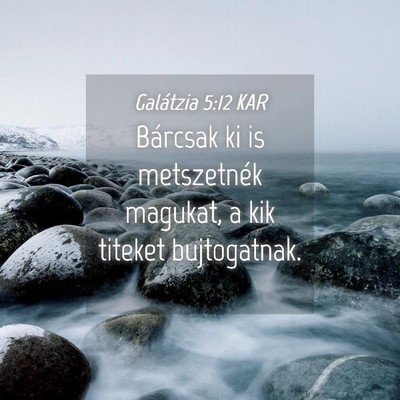 Picture 04 - Galátzia 5:12 KAR - Bárcsak ki is metszetnék magukat, a kik titeket - Bible Verse Picture