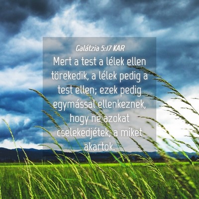 Picture 04 - Galátzia 5:17 KAR - Mert a test a lélek ellen törekedik, a lélek - Bible Verse Picture