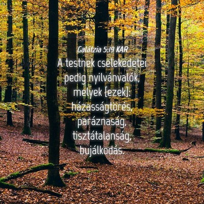Picture 04 - Galátzia 5:19 KAR - A testnek cselekedetei pedig nyilvánvalók, - Bible Verse Picture