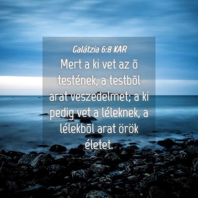 Picture 04 - Galátzia 6:8 KAR - Mert a ki vet az õ testének, a testbõl arat - Bible Verse Picture