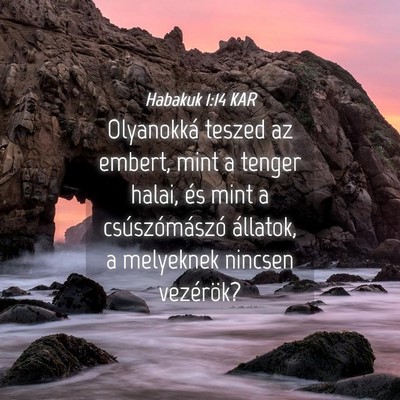 Picture 04 - Habakuk 1:14 KAR - Olyanokká teszed az embert, mint a tenger halai, - Bible Verse Picture