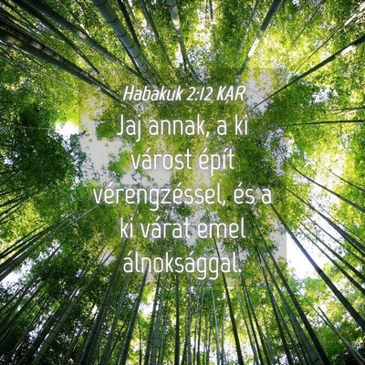 Picture 04 - Habakuk 2:12 KAR - Jaj annak, a ki várost épít vérengzéssel, - Bible Verse Picture
