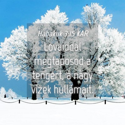 Picture 04 - Habakuk 3:15 KAR - Lovaiddal megtaposod a tengert, a nagy vizek - Bible Verse Picture