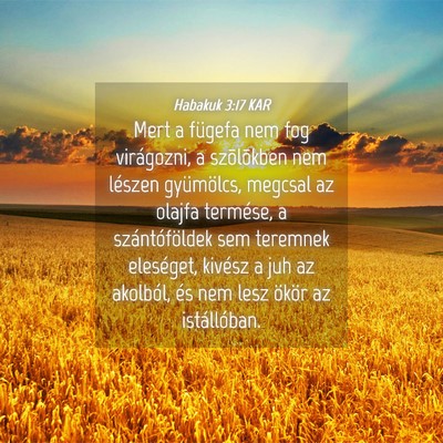 Picture 04 - Habakuk 3:17 KAR - Mert a fügefa nem fog virágozni, a szõlõkben - Bible Verse Picture