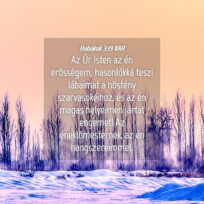 Picture 04 - Habakuk 3:19 KAR - Az Úr Isten az én erõsségem, hasonlókká - Bible Verse Picture