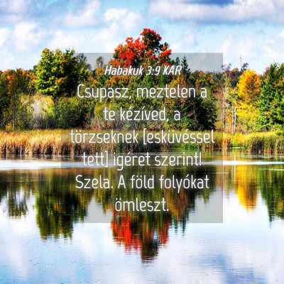 Picture 04 - Habakuk 3:9 KAR - Csupasz, meztelen a te kézíved, a törzseknek - Bible Verse Picture